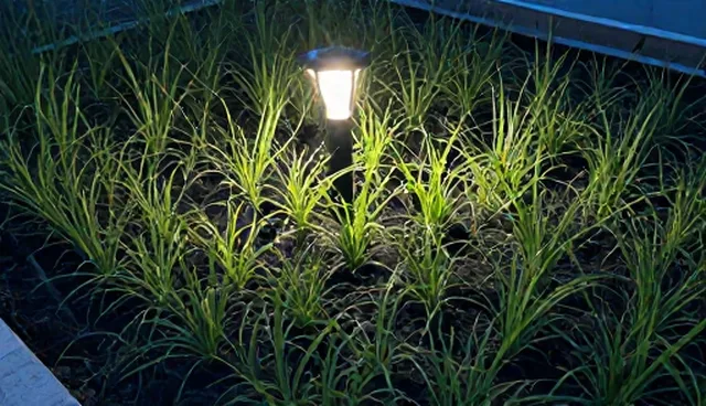 种植技术指导如何助力成本控制效率提升